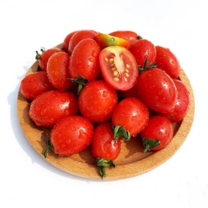 秧满田 圣女果500g 红樱桃番茄 蔬菜 迷你小西红柿酸甜可口小番茄