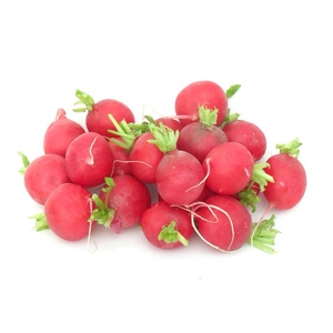 新鲜樱桃萝卜红皮迷你小水萝卜红萝卜小红圆萝卜脆甜西餐装饰点缀