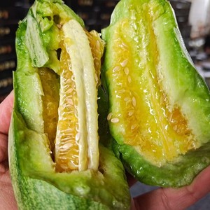 博洋六号羊角蜜