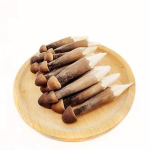 新鲜黑皮鸡枞菌鸡枞芽250g云南特产非干货新鲜采摘蘑菇鸡枞菇食用