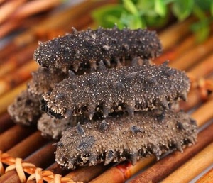 山东青岛深海淡干海参老字号野生海鲜90头左右8-9年刺参 水产干货