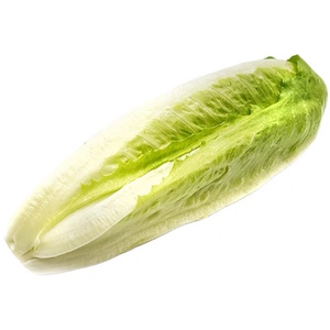 包心罗马生菜