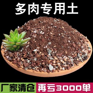 多肉土专用颗粒营养土植物花叶插控型泥炭土壤通用型纯颗粒铺面石