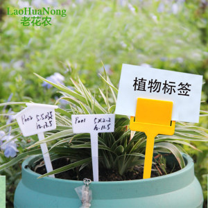 老花农 多肉植物标签大标识牌插地牌花卉苗塑料插签 园艺配件5个