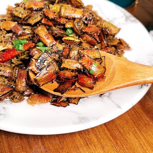 食用昆虫油炸九香虫即食臭板虫异域风味打屁虫东南亚街头虫子美食