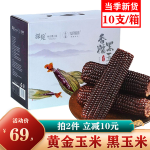 探觅香糯黄玉米黑玉米新鲜10支真空包装东北特产粘苞米棒礼盒装