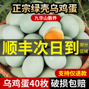 乌鸡蛋新鲜绿壳初生蛋正宗农家散养农村草鸡蛋40枚绿皮土鸡蛋15枚