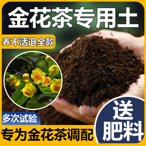 金花茶专用土室内盆栽植物盆景肥料酸性沙质土壤金花茶专用营养土