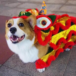 舞狮狗衣服猫咪衣服抖音同款搞怪狗狗狮子装宠物过年衣服柯基秋冬