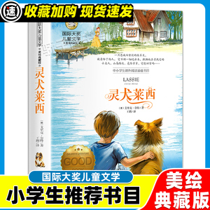 灵犬莱西小学生