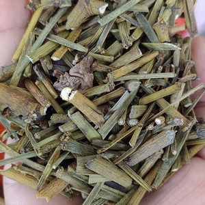 中药材桑寄生 扁枝槲寄生 螃蟹爪 枫香寄生茶 广西农产品一斤干货