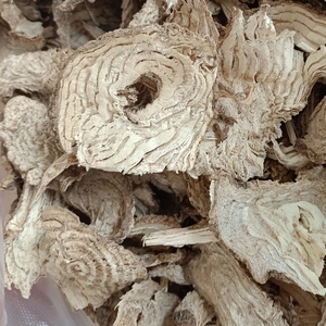 广西中药材白商陆根 章柳根 当陆切片晒干农产品500克件