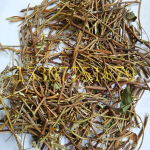 中药材鸡骨草黄头草黄仔强猪腰草小叶龙鳞草茎切碎不带叶500克