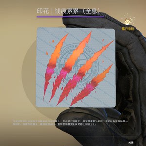csgo 皮肤 贴纸 枪装饰 印花 | 战痕累累(全息)  狂牙大行动