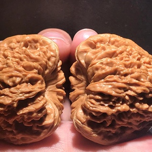 极限深凹底45老树南疆石狮子头精品毕业级文玩核桃