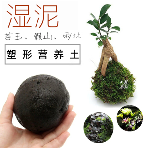 人工湿泥塑形绿植苔藓营养土小林自配日式假山介质植物苔藓固定