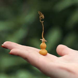 手捻葫芦种子特小迷你葫芦籽文玩瓢孑爬藤盆栽八宝葫芦