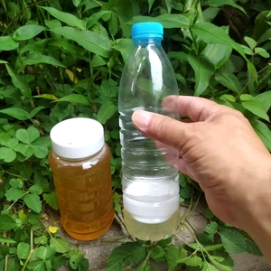 长江湿地野生益母草蜜已结晶自产成熟蜂蜜2斤呵护女性润肤滋养