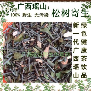 100%野生松树寄生 马尾松寄生 松木寄生 寄生茶 干品