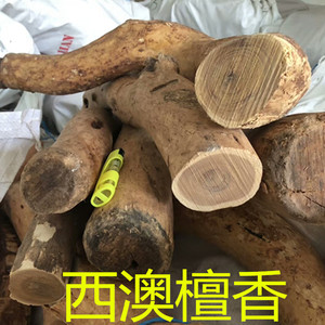 西澳檀香木原木