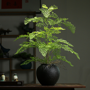 仿真绿植蕨类植物盆景酒店餐馆玄关桌面装饰品茶桌波斯草客厅摆件