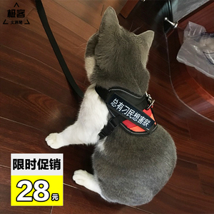 猫牵引绳猫咪专用幼猫胸背带遛猫绳防挣脱栓猫绳项圈狗猫通用链子