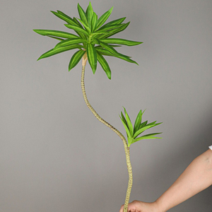 单支仿真绿植百合竹装饰富贵竹巴西木热带装饰假植物塑料花假植物