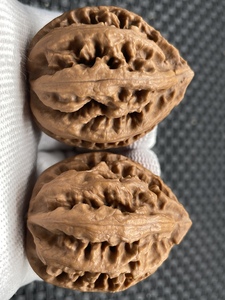 东北野生秋子楸子文玩核桃粗筋楸八棱血灯笼编号334