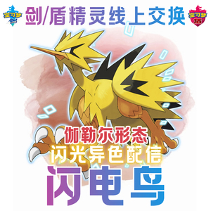 闪光伽勒尔闪电鸟 雷电鸟 闪光闪电鸟宝可梦剑盾6v闪光配信神兽