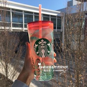 美国星巴克绿叶子橘红色半透明玻璃杯身塑料按压盖子吸管杯冷饮杯