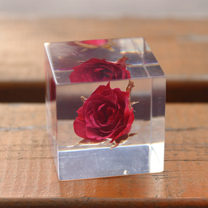 日本sola cube宇宙立方体摆件 创意生日圣诞礼物植物标本玫瑰樱花