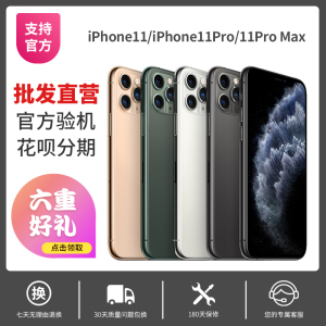 【二手】Apple/苹果 iPhone 11 Pro Max 国行 双卡 二手苹果11 x