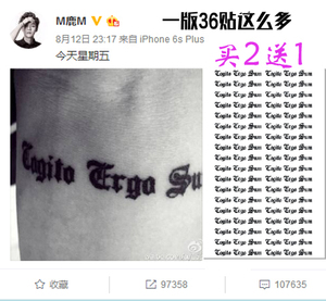 鹿晗同款纹身贴手臂拉丁文 cogito ergo sum我思故我在 防水包邮