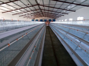 大型养殖场阶梯式蛋鸡笼四层养鸡设备热镀锌蛋鸡笼具