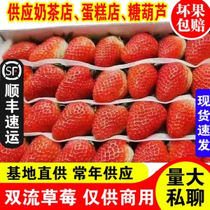 现货顺丰包邮新鲜酸草莓2盒1斤商用四季草莓双流烘焙蛋糕奶茶水果