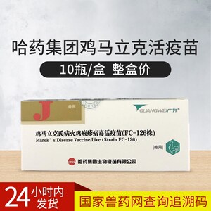 鸡马立克氏病活疫配稀释液 鸡马立克疫苗鸡用马立克 小鸡出壳疫苗