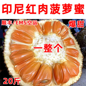 印尼红肉菠萝蜜一整个新鲜水果包邮波罗蜜10斤20斤40斤产地直发