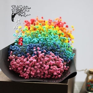 满天星干花彩虹