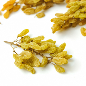 新疆吐鲁番葡萄干500g装带枝葡萄干自然成熟干果休闲零食新疆特产