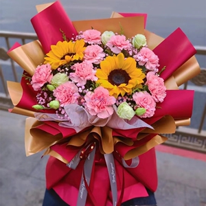 母亲节康乃馨花束速递德化县石狮市晋江市南安市同城配送妈妈鲜花