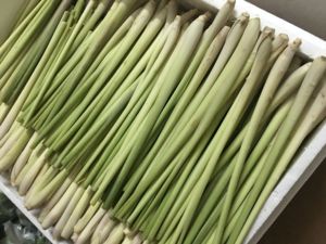 00防城港市信美淘宝香茅叶干500g包邮香茅草干柠檬草干泰国冬阴功