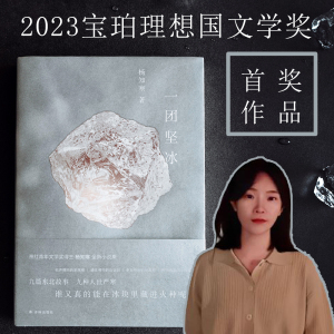 当当网 一团坚冰 2023年宝珀理想国文学奖首奖！杨知寒 小说版漠河舞厅东北文艺复兴 书写九篇东北故事 讲述冰天雪地里的人世严寒