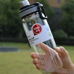 匡迪华象单层玻璃杯便携加厚透明带提手有茶隔男女时尚泡茶水杯子