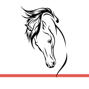 艺术马头线条图案墙贴画马术赛马运动玻璃定制镂空装饰自粘墙贴纸