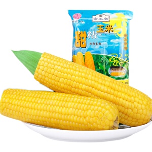 帝王宴玉米a级黄糯玉米16-18cm4袋8根新鲜玉米甜粘糯米黏玉米棒