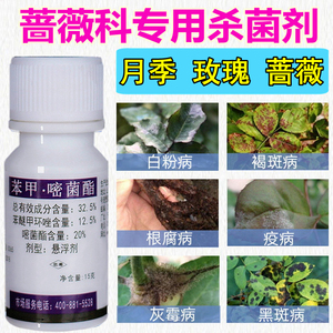 月季花药蔷薇花药玫瑰花药绣球花生病药白粉病黑斑病专用药黄叶药