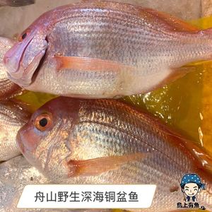 【野生野生加吉鱼条】野生野生加吉鱼条品牌,价格 - 阿里巴巴