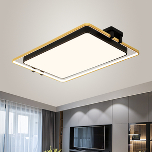 安居宝吸顶灯客厅