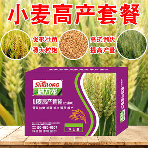施力龙小麦高产套餐叶面肥杀病虫抗倒伏一喷三防增产芸乐收氨基酸