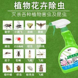高效防虫植物杀虫剂盆栽家用茉莉花喷雾剂海棠花介壳虫桂花树室外
